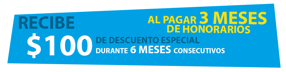 VegVel Soluciones Contables Financieras